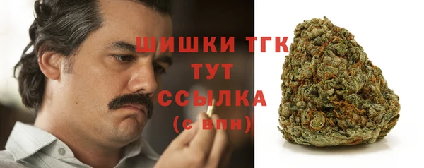 дживик Корсаков
