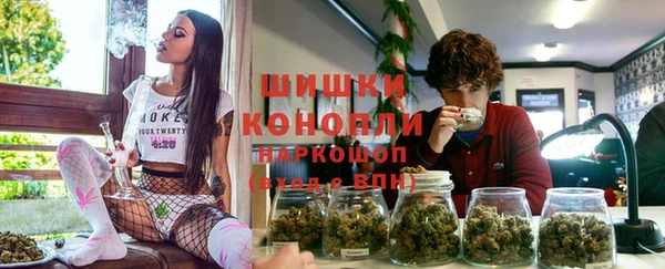 молекула духа Пенза