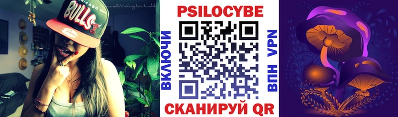 Псилоцибиновые грибы Psilocybe  mega ТОР  Медвежьегорск 