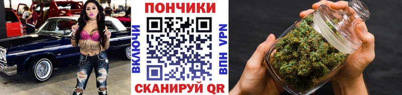 Бошки марихуана марихуана  Медвежьегорск 